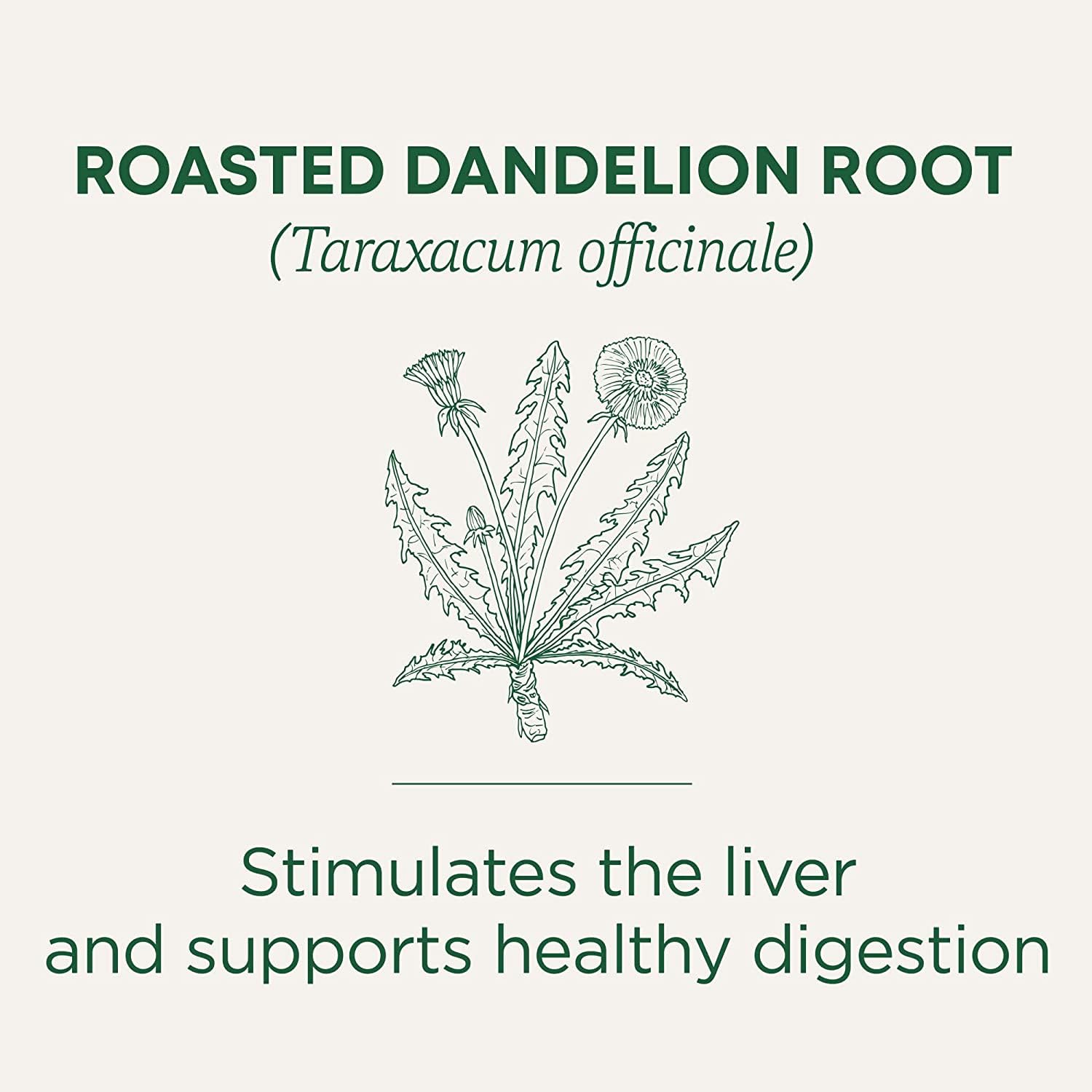 Traditional Medicinals Organic Roasted Dandelion Root Tea - Image 4
