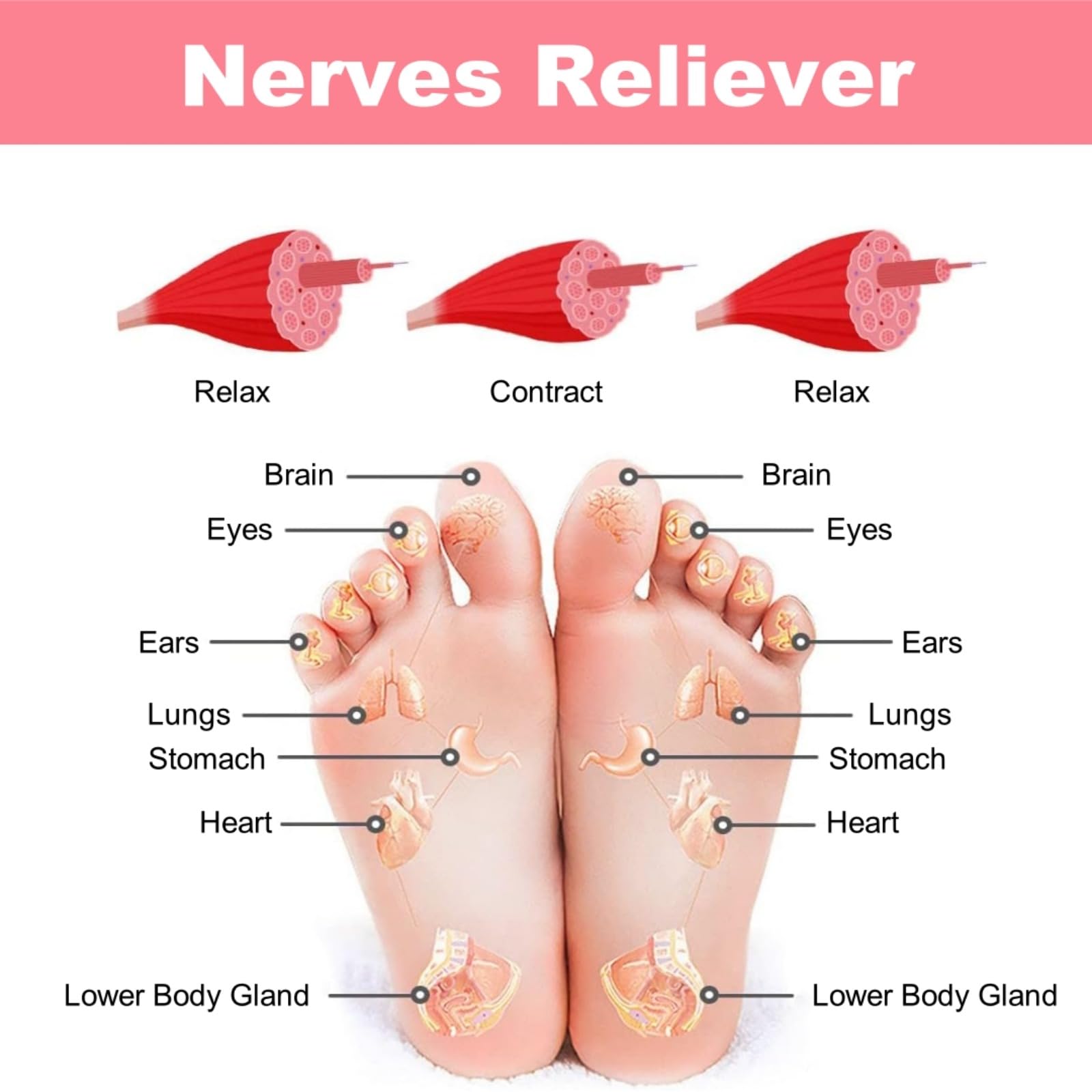 Masseur Plantaire Santevo Nmes, Masseur éLectrique Pied, Avec 8 Modes & 19 FréQuences RéGlables, Favorise La Circulation Sanguine, Soulage Les Douleurs Musculaires Pour La Jambe