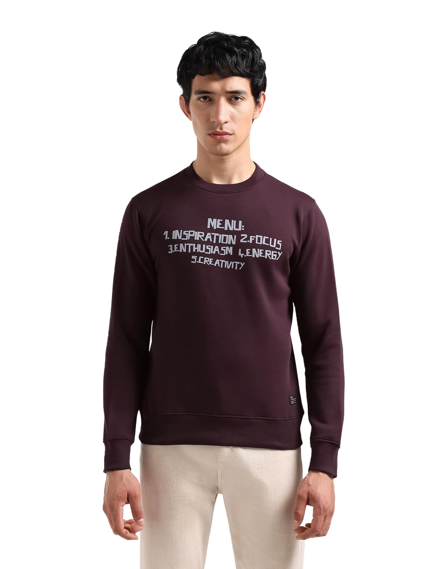 flying machine Men's Regular Fit Sweatshirt| Printed-picture-23