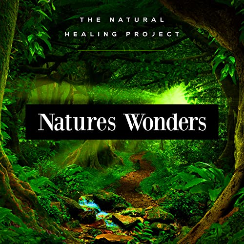 The Natural Healing Project