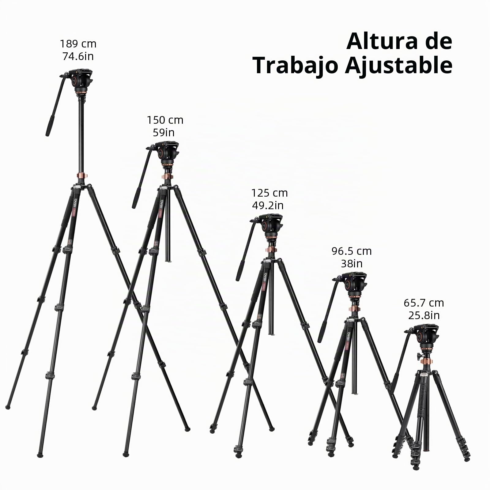 Cayer AF2451 trípode de vídeo, trípode de la cámara de vídeo de aleación de Aluminio 74 Pulgadas para Canon Nikon Sony Olympus Panasonic cámara réflex Digital