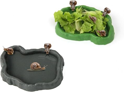 2 Set Snail Feeding Dish Set for Land Snails, Snail Feeder and Water Dish Kit-Calcium Food Bowl & Water Tray, Land Snail Tiny Pet Dishes Mini Pet Snail Supplies Accessories Rock Green + Gray
