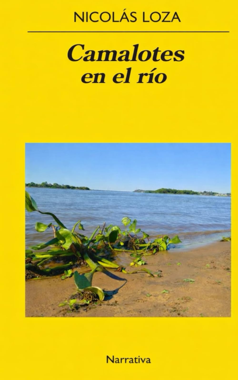 CAMALOTES EN EL RÍO