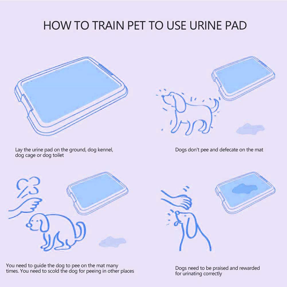 Tappetini Igienici per Cane,Training Pad Addestramento Cane, Traversine Pannolini Super Assorbenti per L'addestramento di Cagnolini Gatti E Altri Animali Domestici