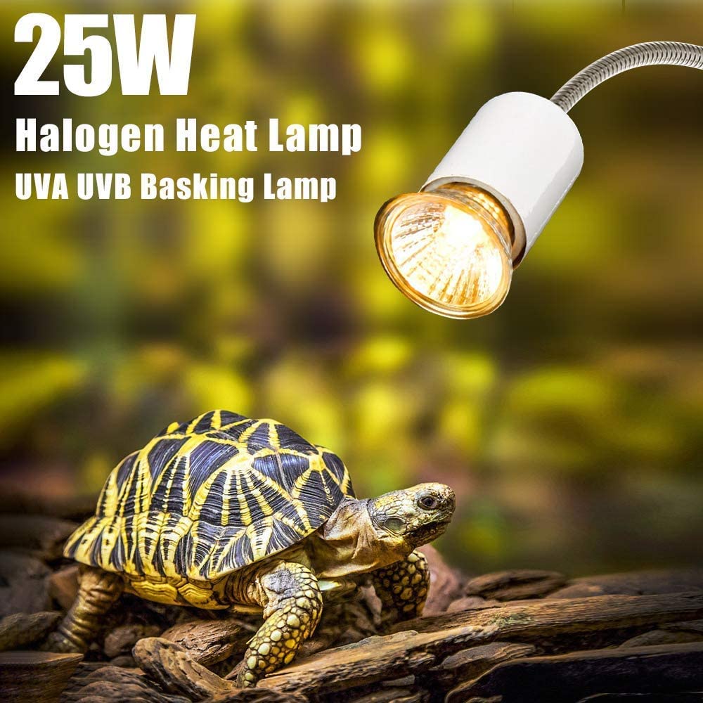 SUNOYA Reptilien Wärmelampe 25W/50W - Keramik E27 Mit Temperaturregler Für Schildkröten, Schlangen & Eidechsen