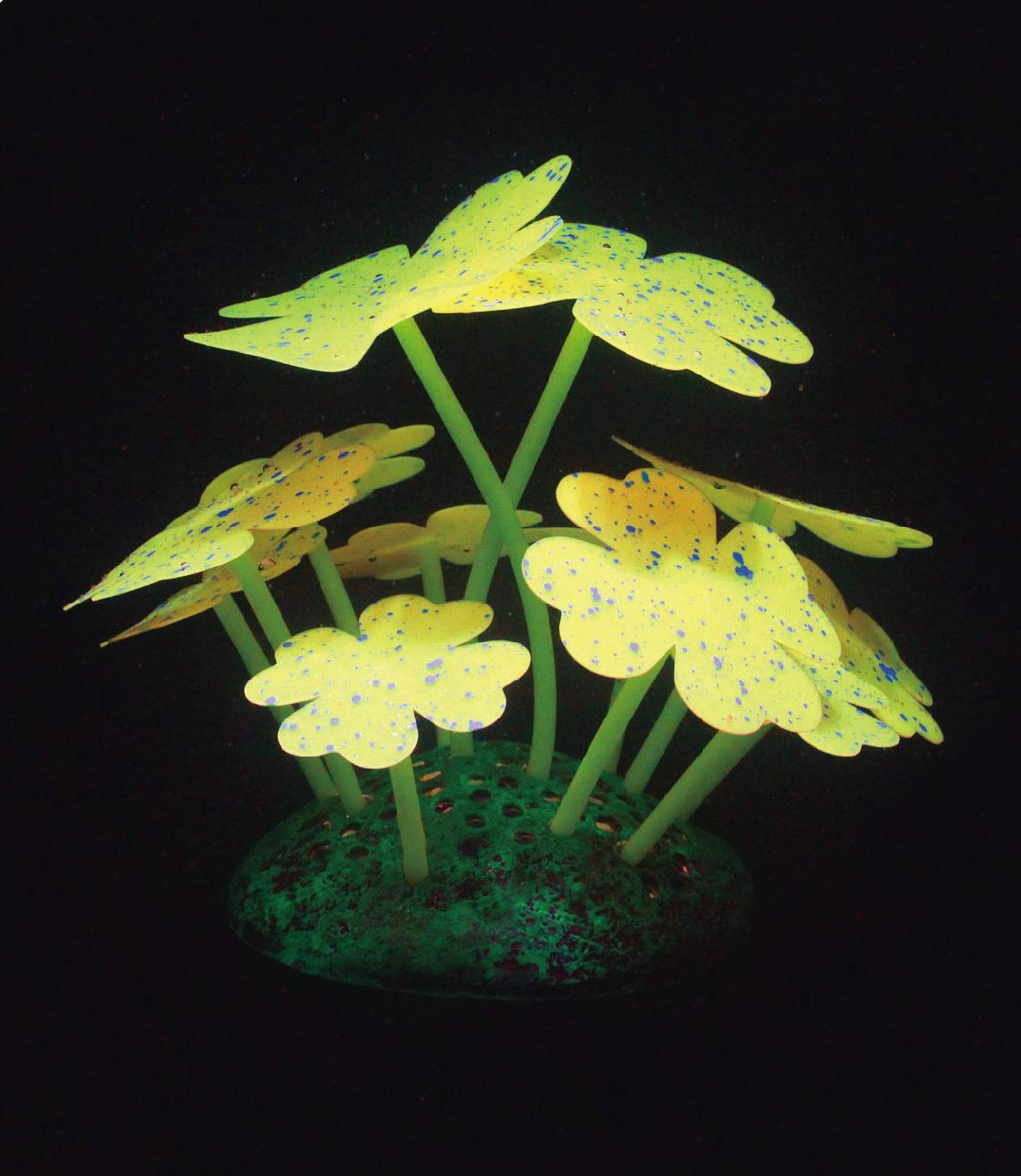 Aqua Lumo Silicon Fluorescent Yellow Clover Starry Plant