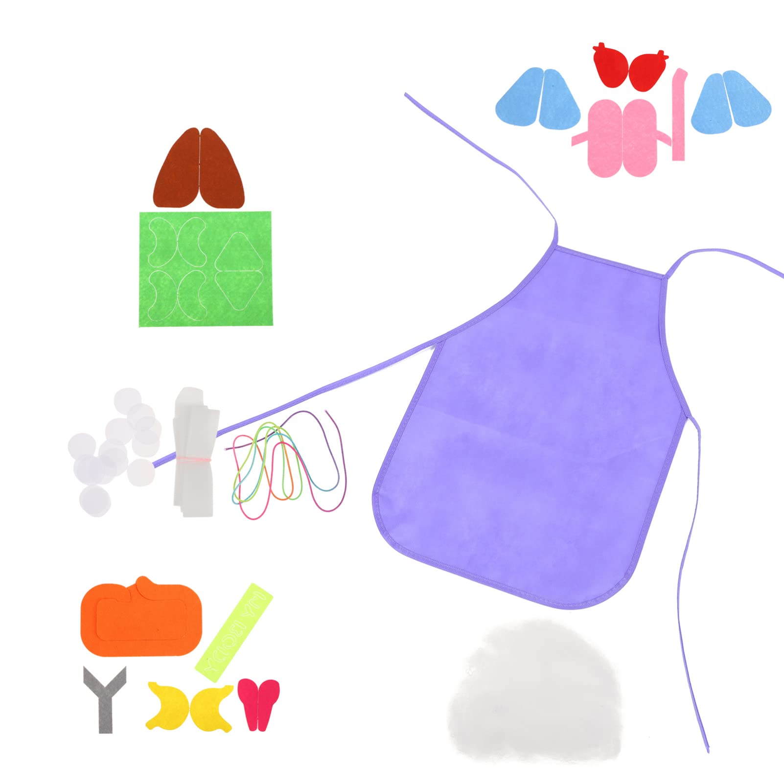 Buy Anatomy Apron Human Body Organs Body Organs Awareness Educational