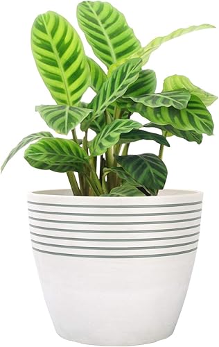 LA JOLIE MUSE Maceta de interior  Macetas para plantas de interior y exterior, maceta elegante contemporánea con patrón de rayas, 9.4 pulgadas,