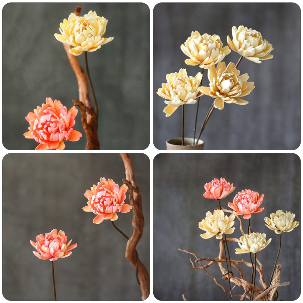 Alipis 6pièces Bouquet Décoratif Naturel Séché De Fleurs Préservées pour Décoration Intérieure Artisanat Ambiance Naturelle pour Maison Et Événements