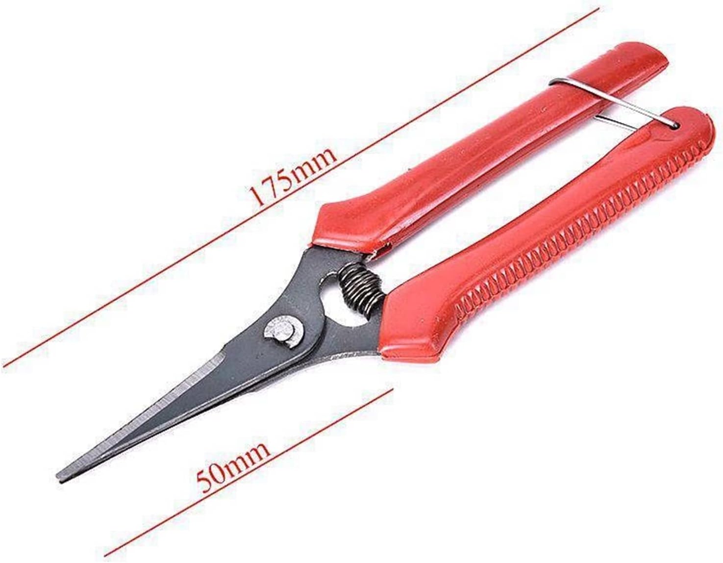 INLIMA Gardening Scissors Carbon Steel Flower Fruit Tree Trimmer Pruning Shears Garden ScissorsStraight Head Garden Shears Pruning