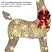 48 Inch 2.5D Gold Lighted Christmas Deer Decorations 3-Piece Outdoor Holiday Decorations Reindeer Set with 145 Warm White LEDs, Large Yard Display for Garden, Storefront