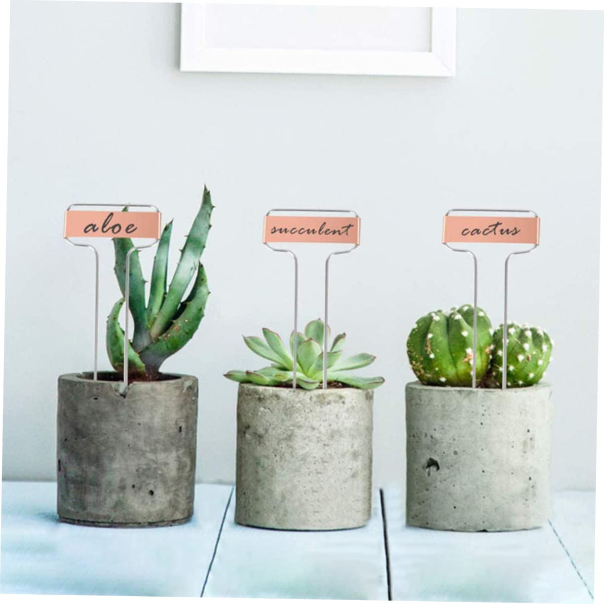 Étiquettes pour Plantes en Cuivre Extérieur Jardin 20 Pièces 60 Cm Fil Acier Marqueurs Solide Usage Pépinière Légume Fleurs Potager