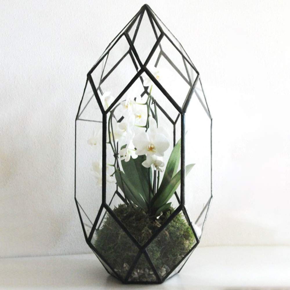 Terrarium en verre fait à la main, design géométrique noir élégant pour plantes d'intérieur