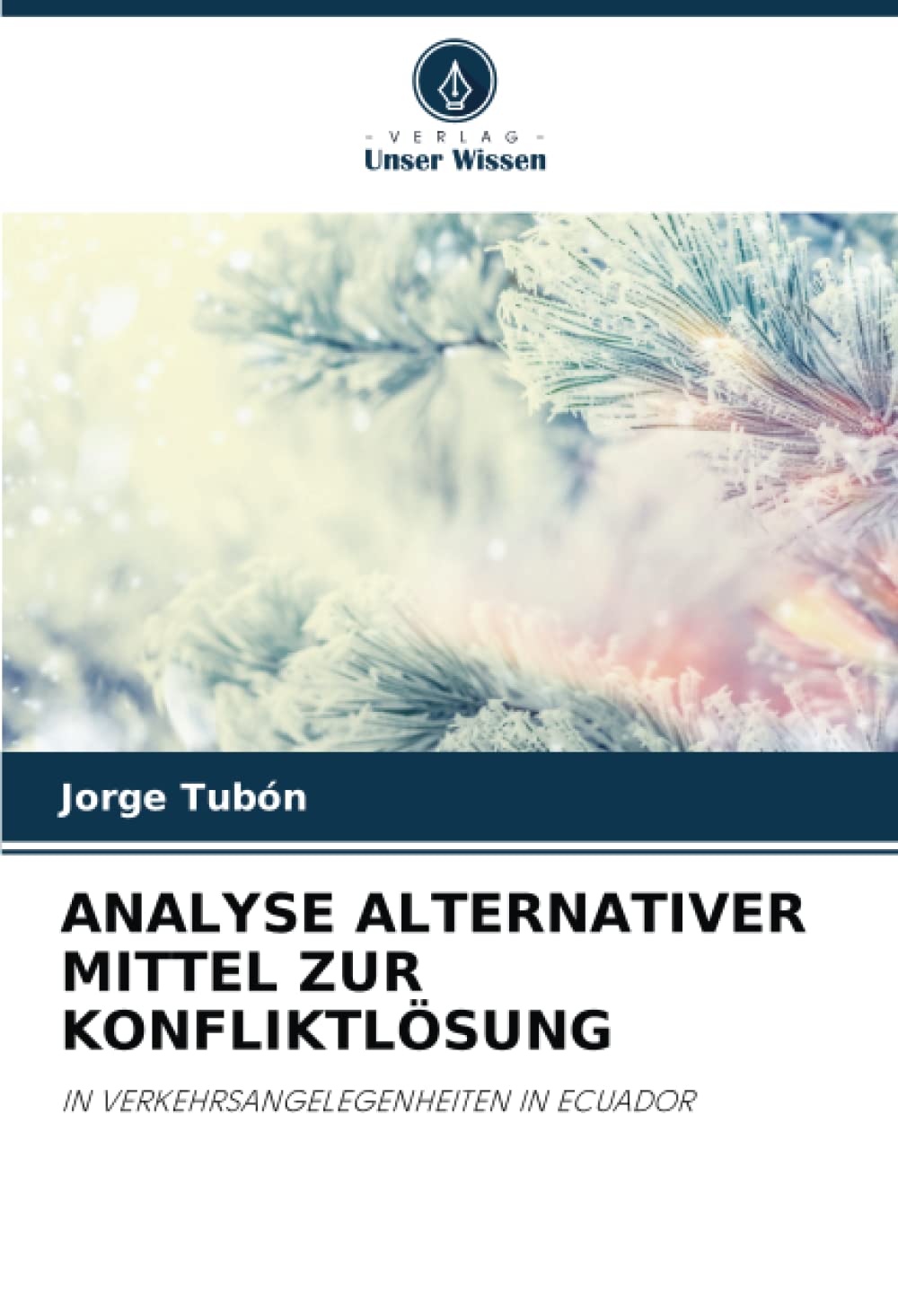 ANALYSE ALTERNATIVER MITTEL ZUR KONFLIKTLÖSUNG: IN VERKEHRSANGELEGENHEITEN IN ECUADOR (German Edition)