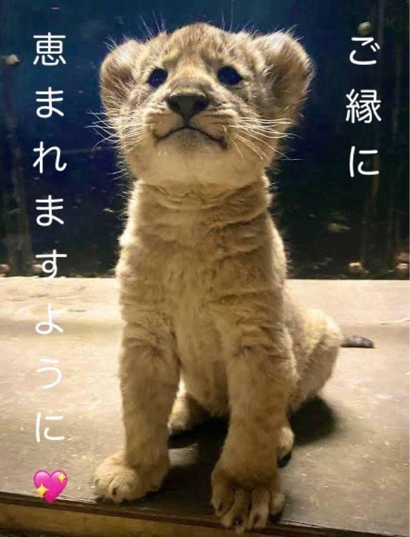 オトメイト 薄桜鬼 枕型スピーカー 土方歳三 Amazon.co.jp: オト ト 薄桜鬼 枕型スピーカー 土方歳三 : ホビー