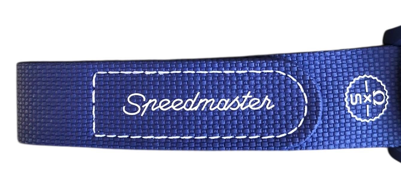 Swatch Moonshine - Reloj de pulsera Moonshine Swatch de septiembre