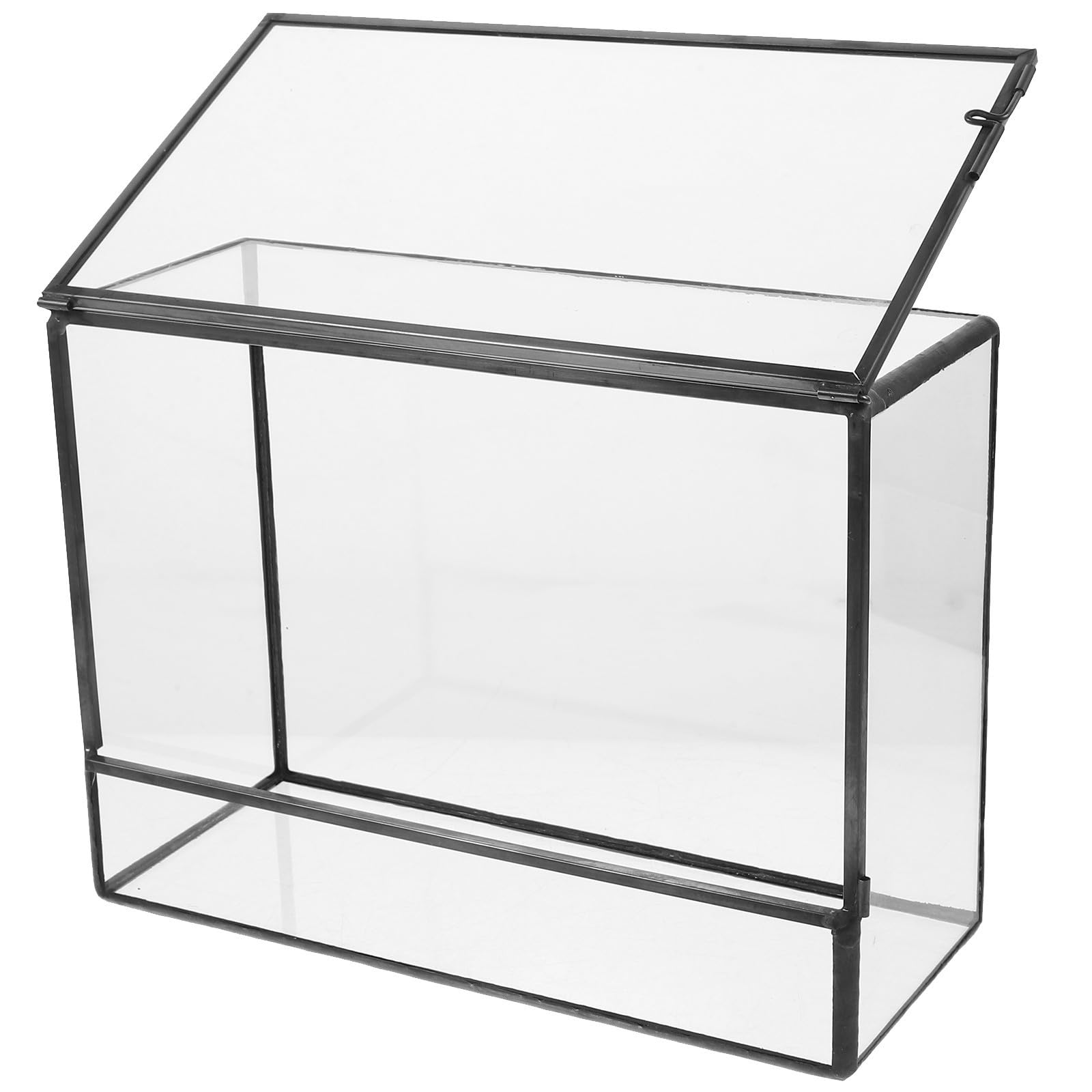 Terrario Ecosistema in Vetro Box Paesaggio in Vetro Mini Giardino da Tavolo per Piante e Muschio Corpo Trasparente Facile da Pulire per Tavolo