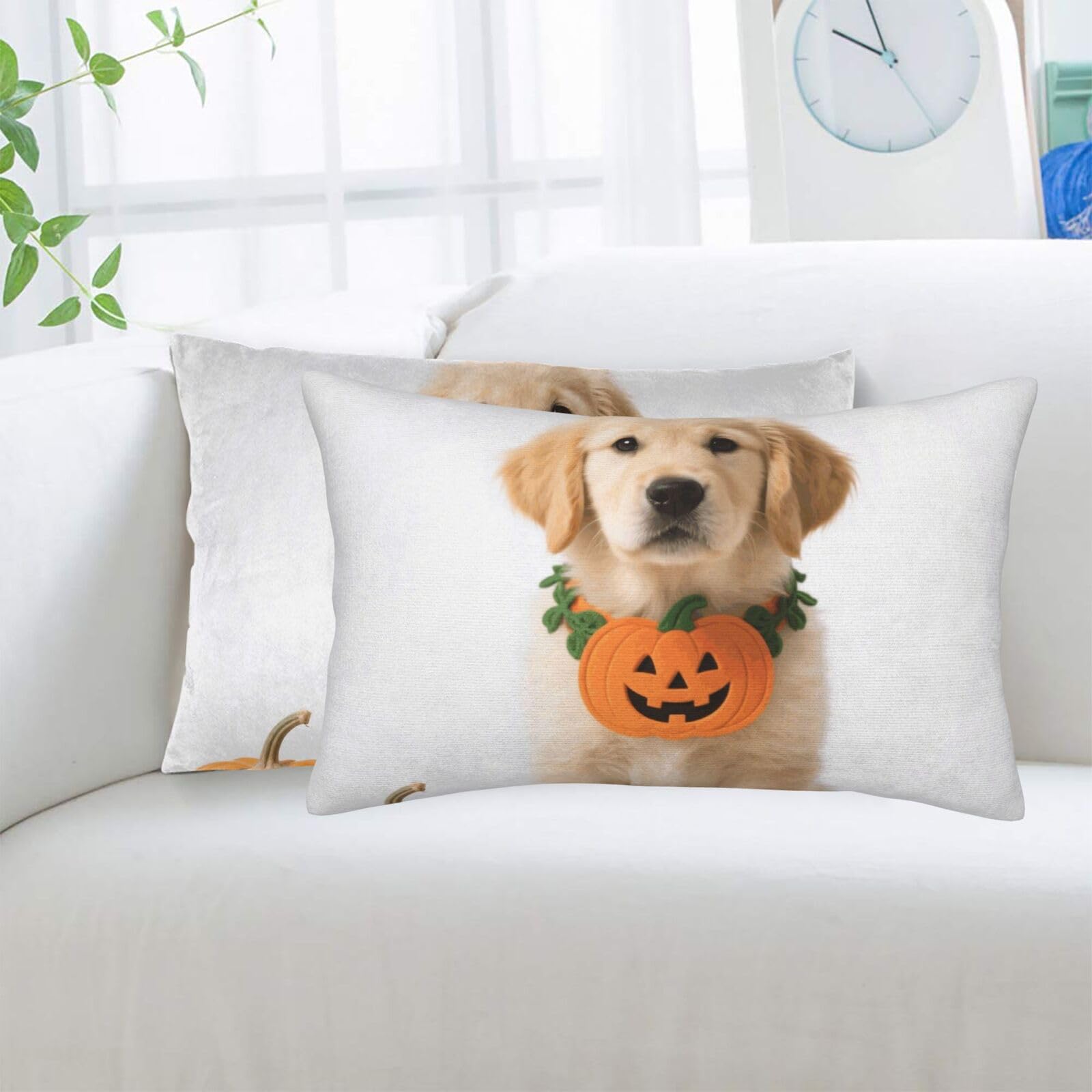 2 Pack Standard Pillowcases Sets, Ultra Soft Comfort Microfiber Plush Pillow Cases Pumpkin Dog Decorative Throw Pillow Cover with Hidden Zipper for Bedroom, Sofa, Couch,14"X20"
