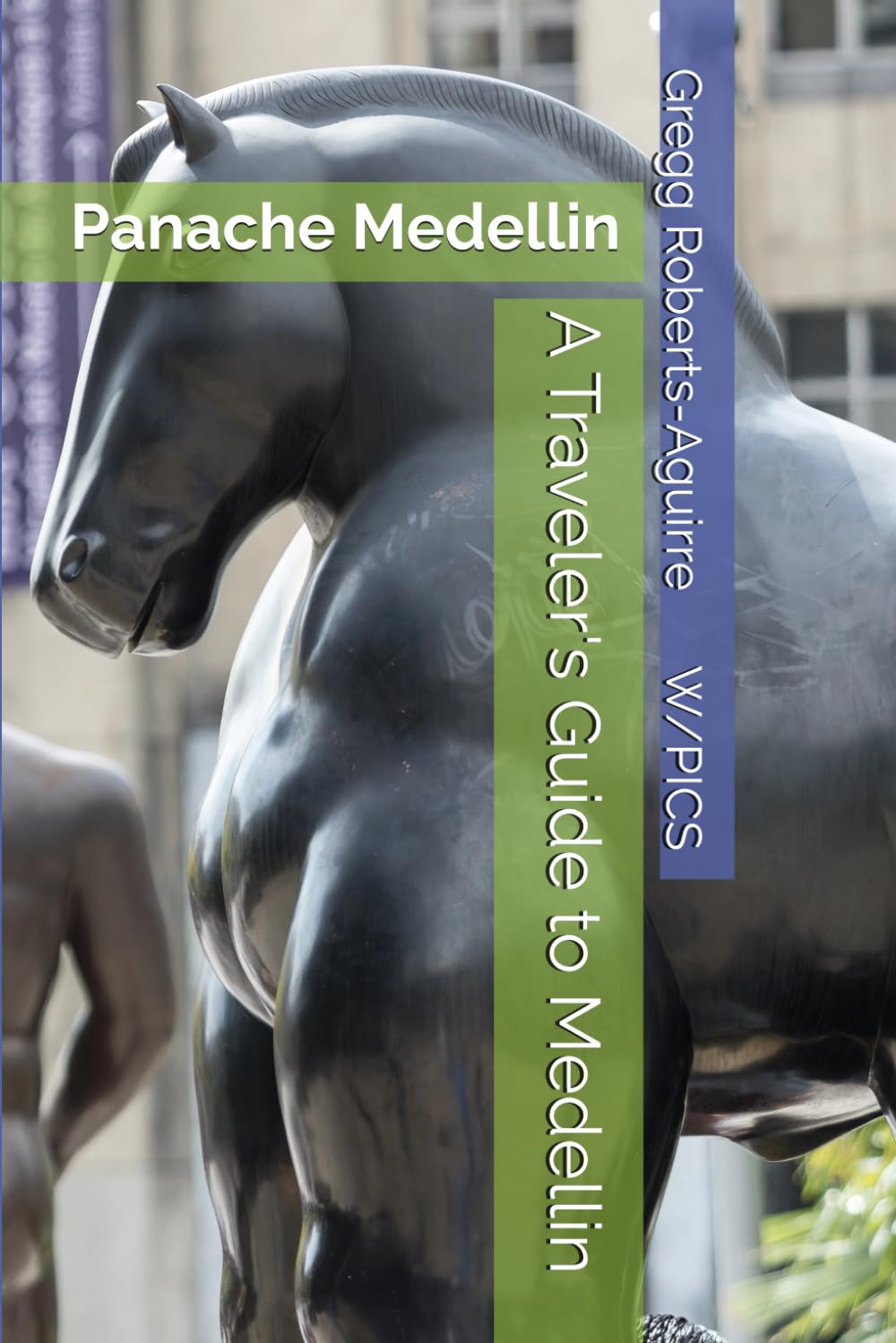 A Traveler's Guide to Medellin: Panache Medellin (Panache Travel Guides with Pictures)