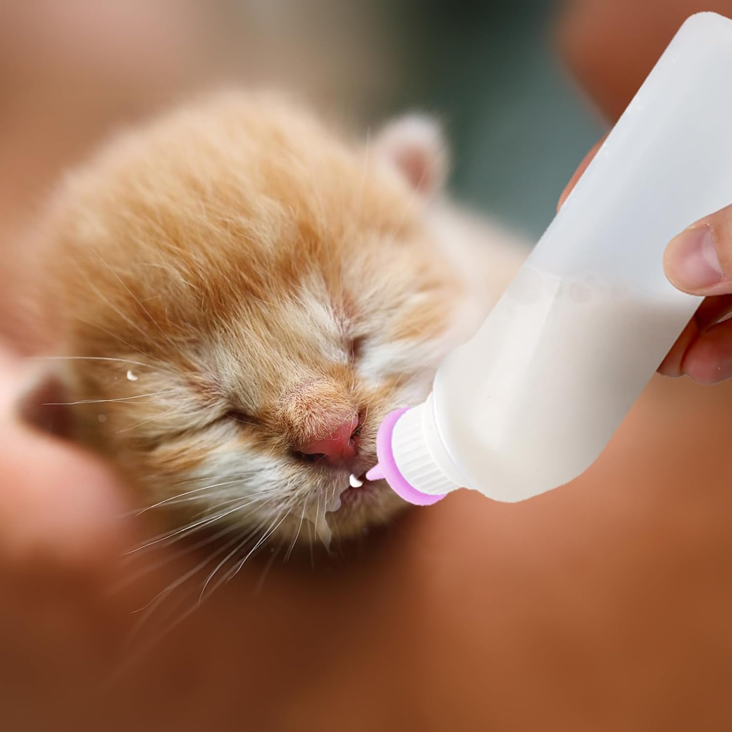 5Pack Kitten Bottle for Nursing Puppy Milk Kitten Bottles Feeding Kit Silicone Nipple for Newborn Pets Kittens, Puppy,Squirrel (Pink) image 8 of 8 B0FHJ4QQFS