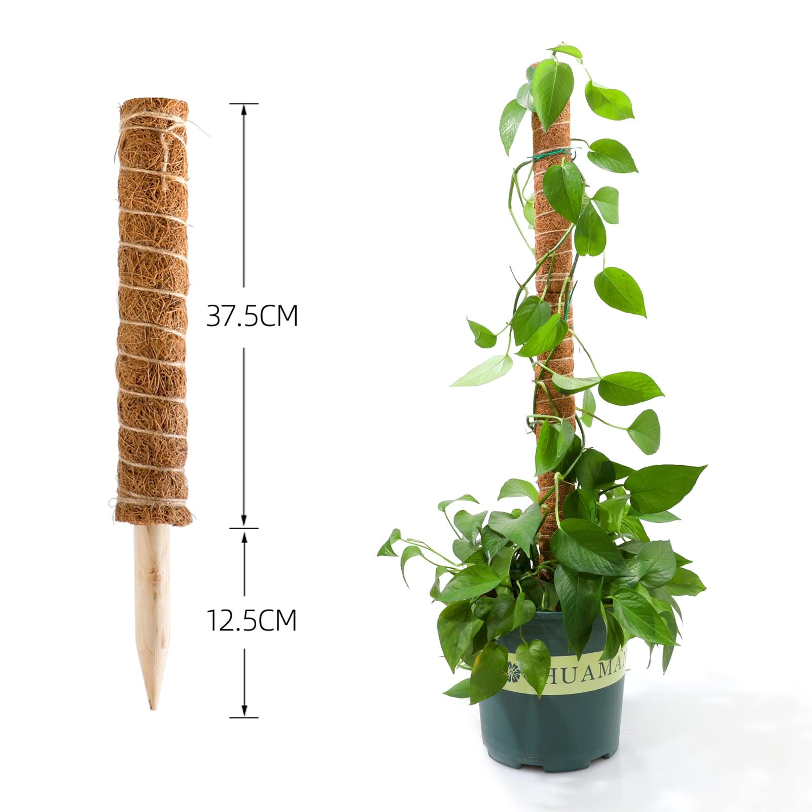 Amazon.com : Coir Totem Pole Extendable Coco Moss Plant Support