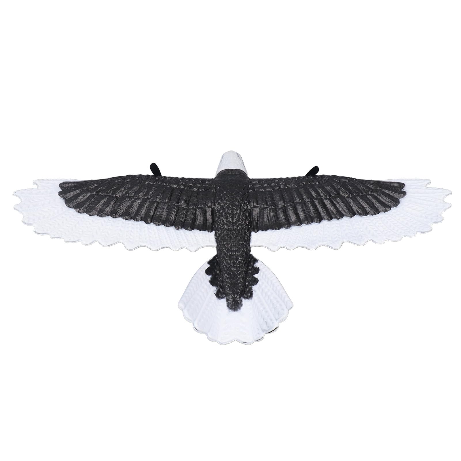 RiToEasysports Avión de Juguete con Control Remoto, Planeador de Espuma | Espuma EPP Resistente a Golpes, Ligera, Batería 150mAh, Despegue Fácil y Autoemparejamiento