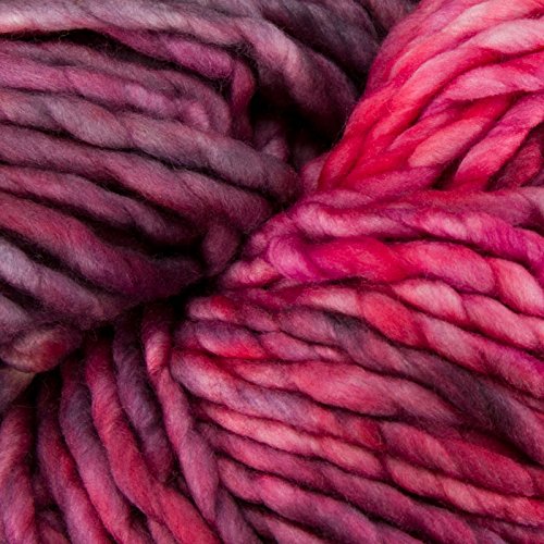 MalabrigoRasta Yarn - Porrinho 864