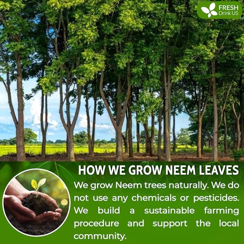 Image of FreshDrinkUS, Premium 20oz Neem Leaf Powder, 100% Natural and Pure from Neem Leaves Dried, for Hair and Skin, No Additives, No Gluten, No Sugar, Vegan