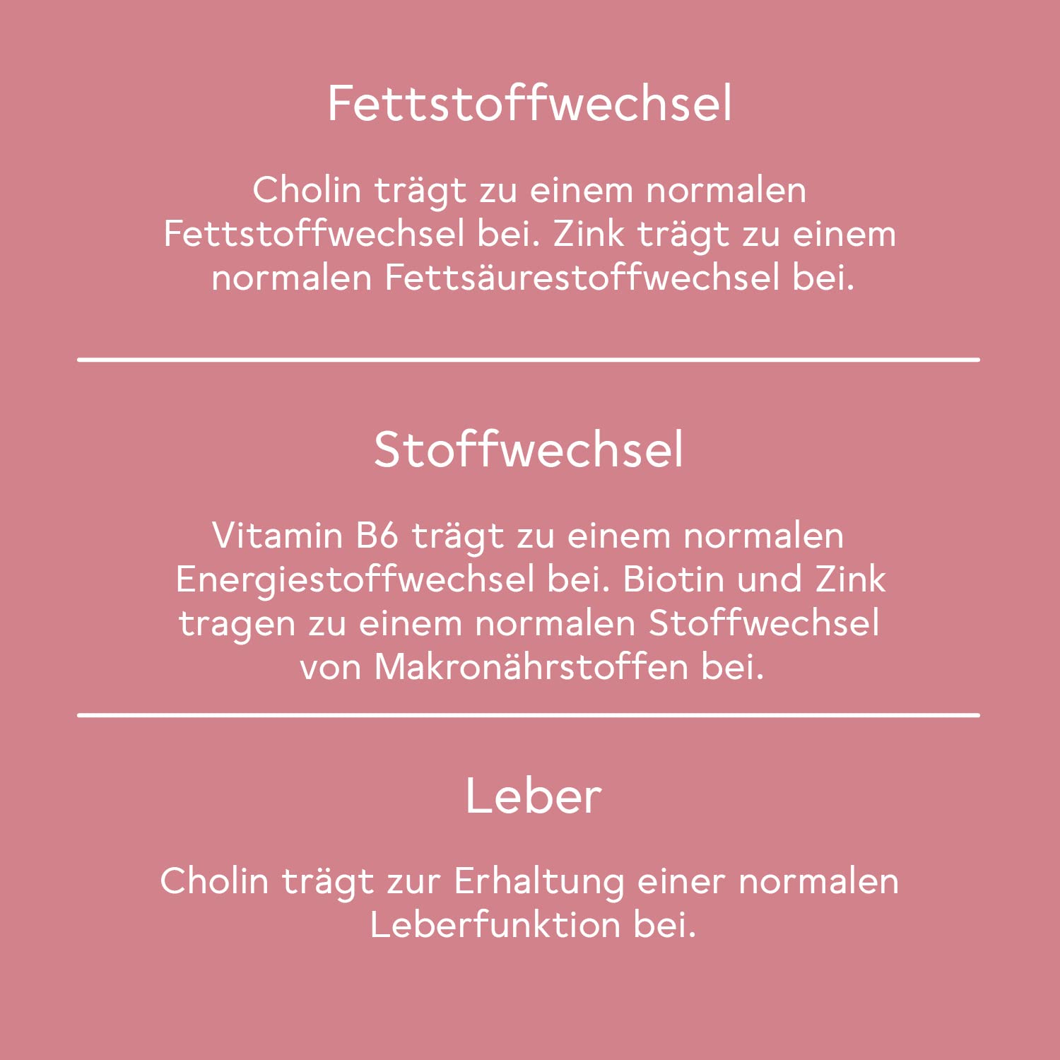 BitterLiebe® Bitter Stoffwechsel * Komplex - 90 hochdosierte Kapseln mit Cholin, Zink, Vitaminen & Bitterstoffen - Für einen normalen Fett- und Energiestoffwechsel *- Vegan & Made in Germany