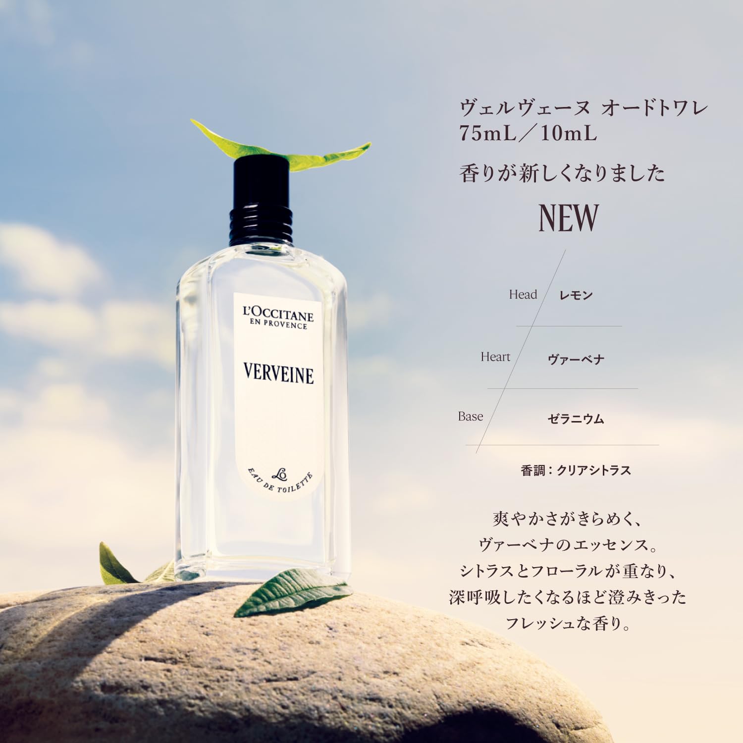 Amazon.co.jp: ロクシタン(L'OCCITANE) ヴェルヴェーヌ[ヴァーベナ