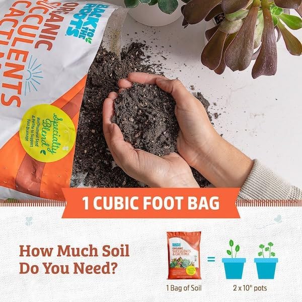100% Organic Succulent & Cacti Mix - Thumbnail 2