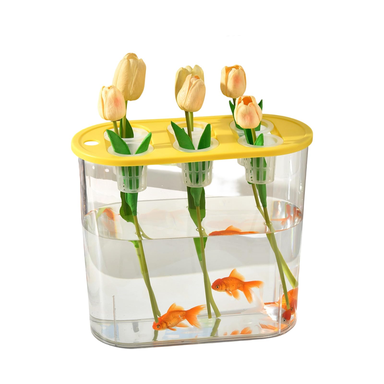 Piceioep Multiple Use Water Culture Box for Hydroponic Tulips Bean Succulents and Various Plant in Homes Gardening Garden Tool