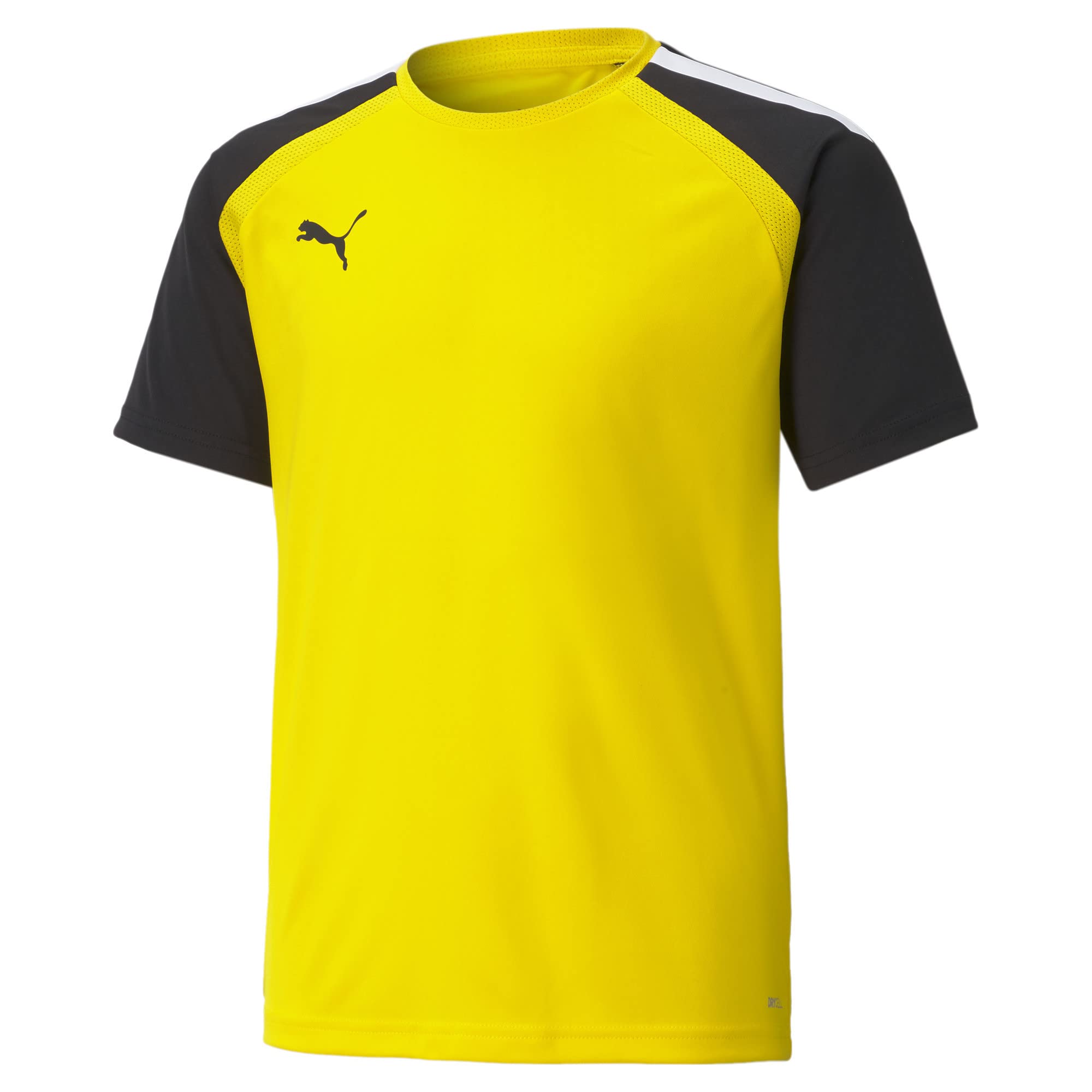 PUMA teamPACER Trikot Kids