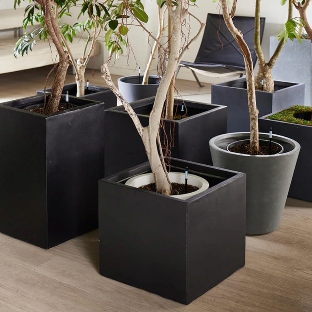 IPPINKA Sustee Aquameter – Grande – nero – Confezione da 12 – Misuratore di umidità del suolo senza risciacquo per piante in vaso – Sensore acqua per piante – Ricaricabile
