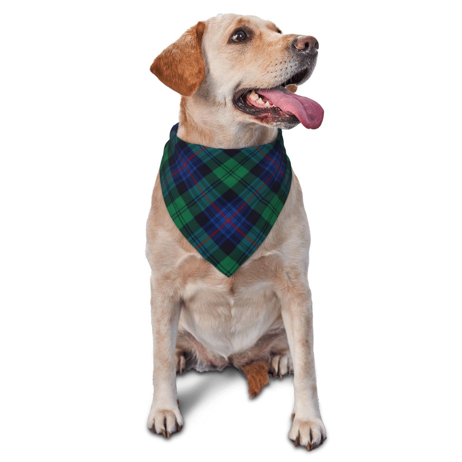 Sipeigyd Pet Triangle Scarf, Armstrong Clan Tartan Green and Blue Plaid pet cat and Dog Scarf, Pet Clothing Accessories, Plaid Pet Scarf, for Small to Large Dogs Cats