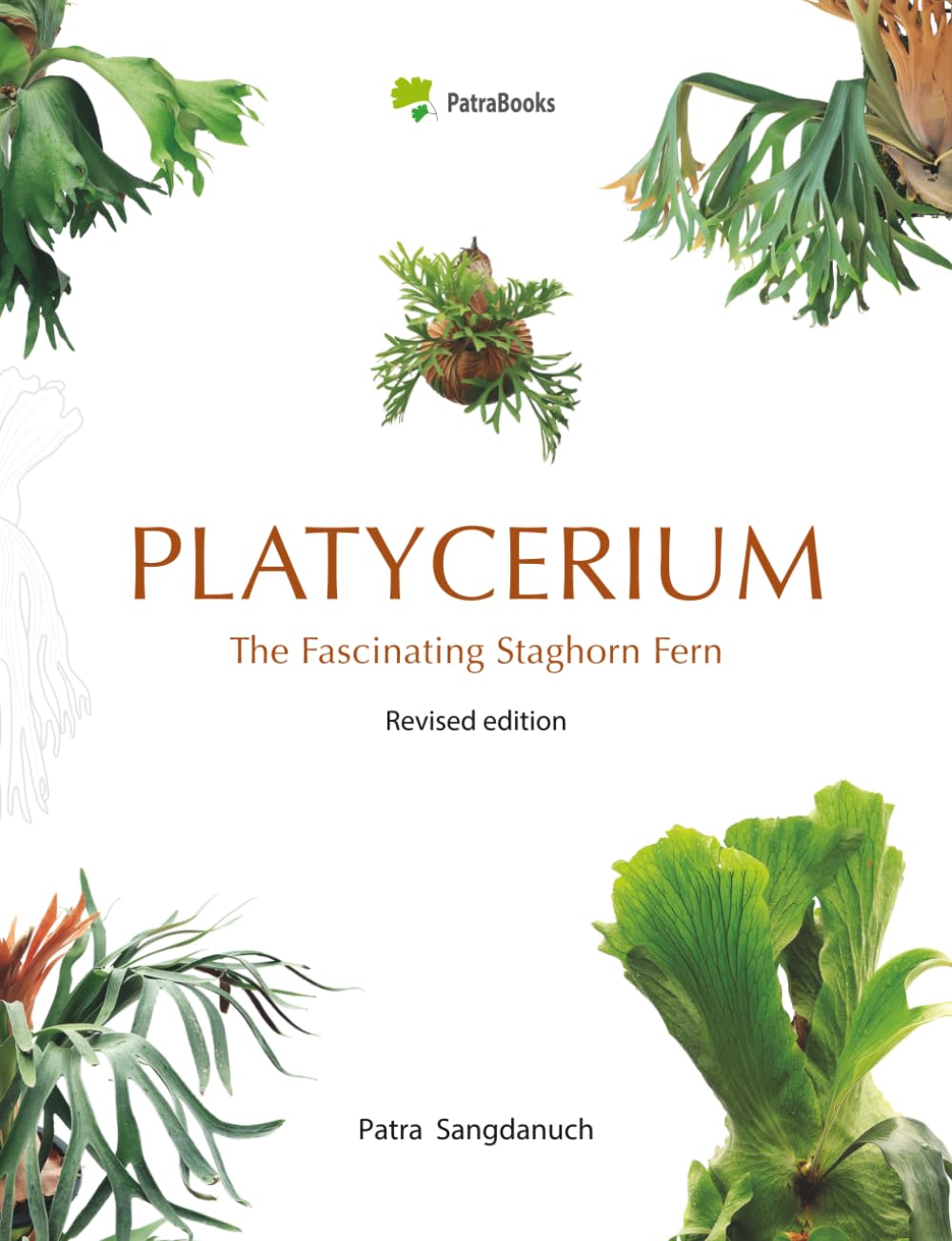 Platycerium: The Fascinating Staghorn Fern: A Collector’s Guide to Staghorn Ferns: Species, Hybrids & Cultivars (Staghorn Fern (Platycerium) Complete Guides)