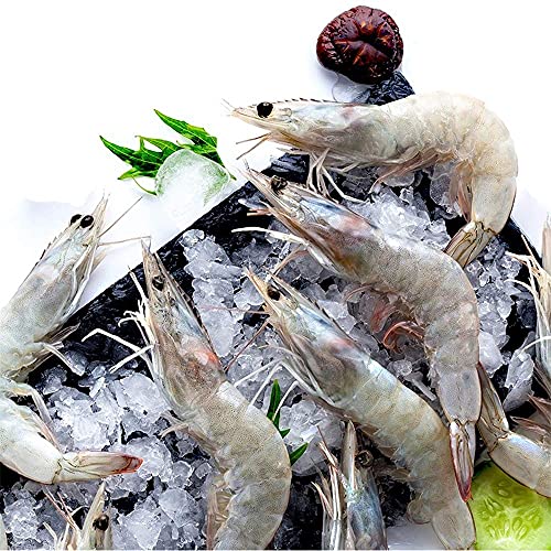 CHiQ FCD418NE4D - Multidoor koelkast met inverter - No Frost - 420L - Waterdispenser - Image 8