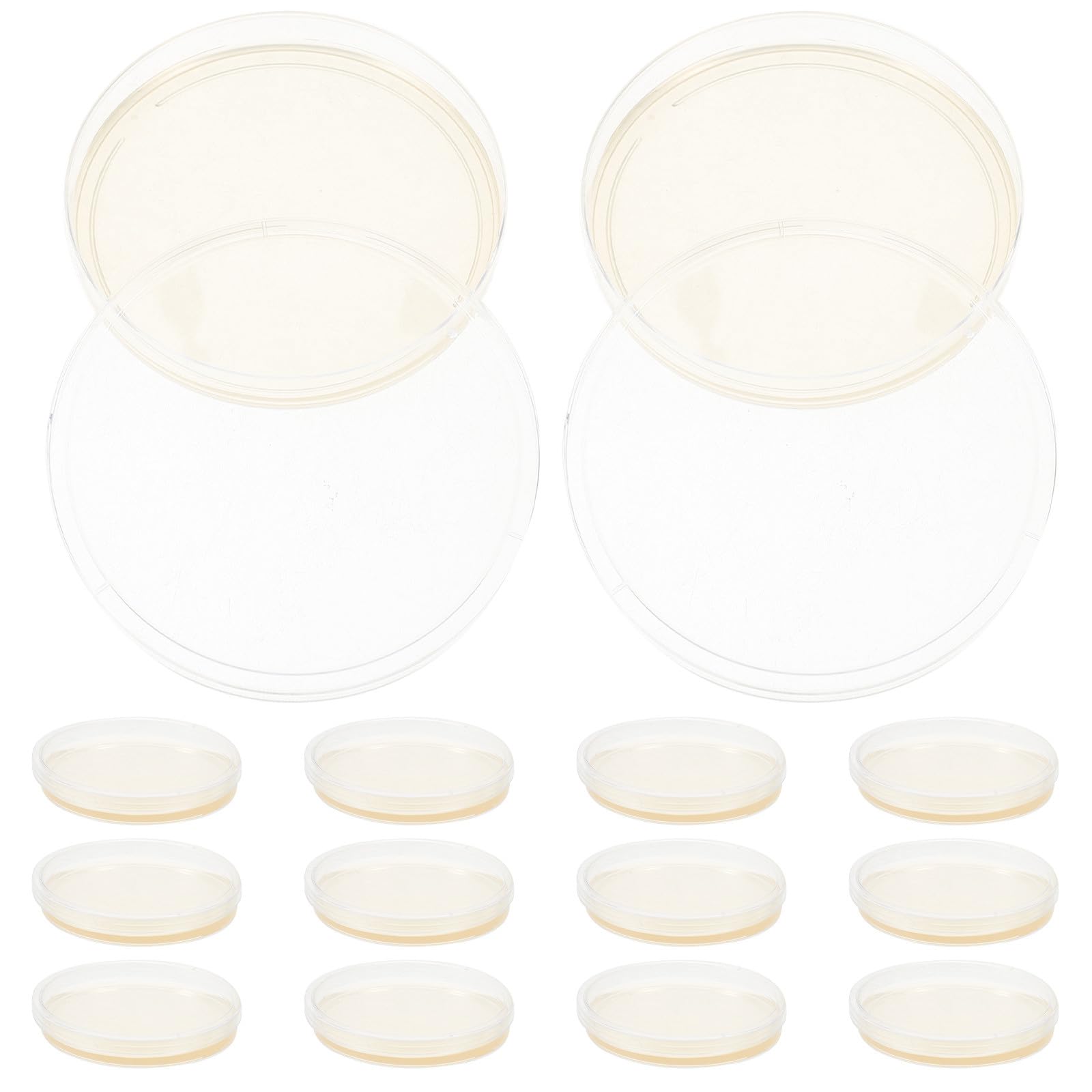 Placas de Petri Redondas Tapas Ajustadas de Plástico 20 Agar Nutritivo Prepregado para Cultivo Microbiano en de y Educación Científica