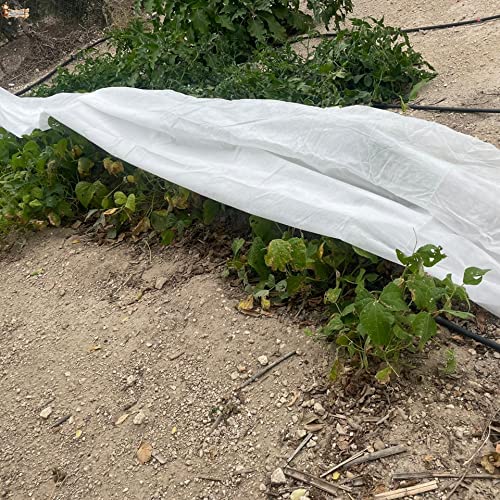 BricoLoco.com Thermal Anti-Frost Mesh Blanket for Plants Crops, Garden, Geotextile Fabric Winter Frost Protection, Cold - Image 4
