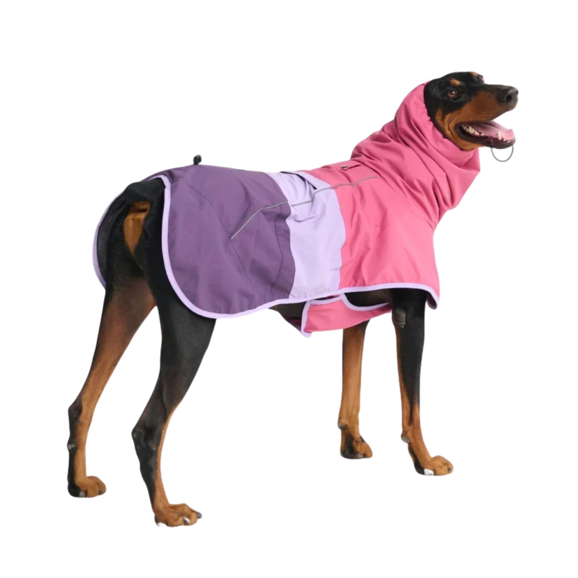 Spark Paws Dog Raincoat, Waterproof Windproof Rain Jacket, for Small Medium Large Extra Large Dogs, Reflective Breathable Full-Body Coverage Dry Suit