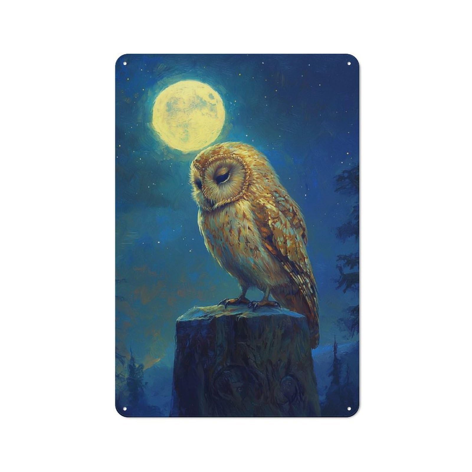 Junmoney Owl Under Moonlight Distressed Look Metal Wall Art Sign 30X20cm Featuring Old Style Wall Plaque For Lounge, Study, Pub Or Wall Gallery