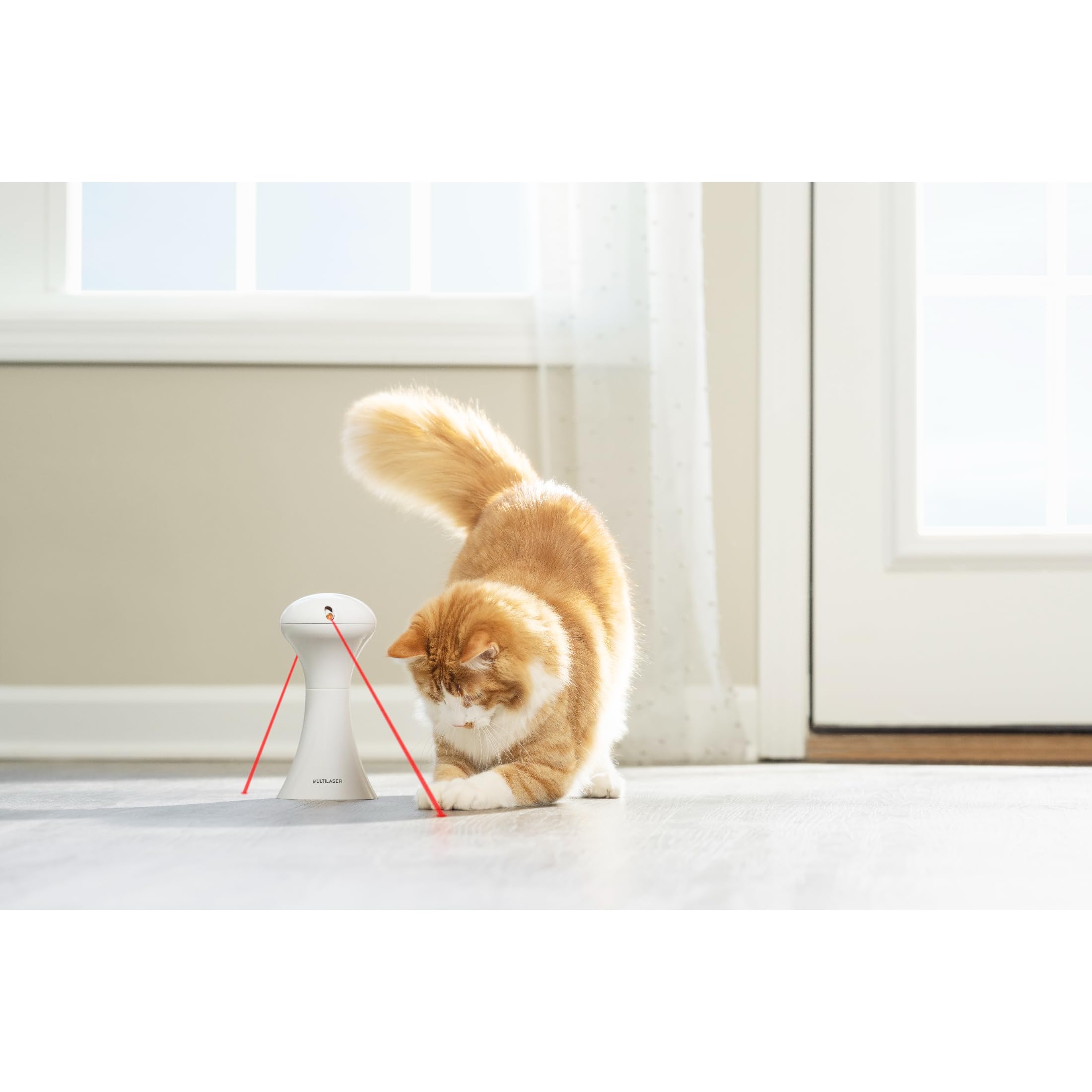 PetSafe Jouet Multi-Lumières pour Chats - 0,34 kg