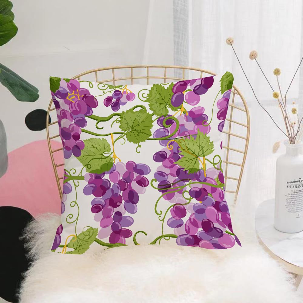 HYOSXW Cushion Cover,Throw Pillow Case Home Decorative for Living Room Bedroom Sofa Chair 16X16 Inch,grapes vine. Vineyard. Fresh hand drawn grape with green leaves.,Pillowcase 40X40cm