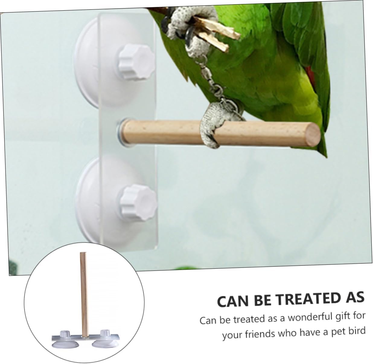 DOITOOL 3pcs Parrot Shower Rack Cup Portable Pine Material Stand for Birds for Outdoor Use Exercise and Training Activities