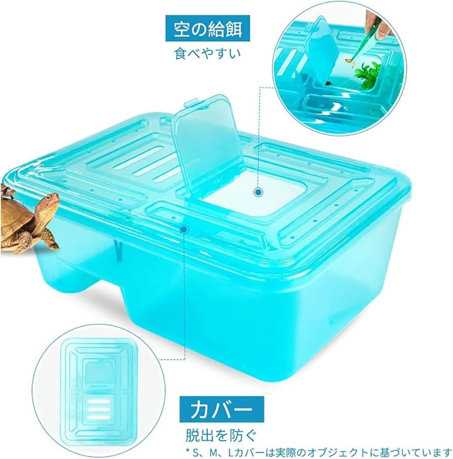 陶器製 染付 唐草 亀 タートル 親子 蓋物 小物入れ 大型サイズ