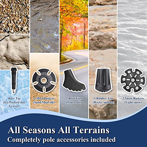 image for TheFitLife Nordic Walking Mountaineering Anti Shock Hiking Trekking Wa