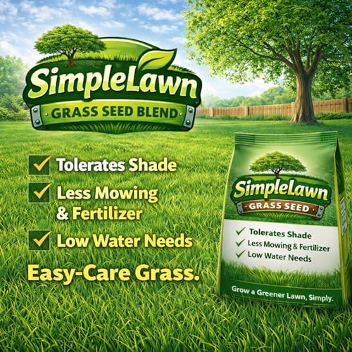 Grass Seed Blends For Low Maintenance And Minimal Mowing