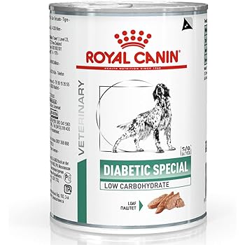 blue brindle cane corso puppy