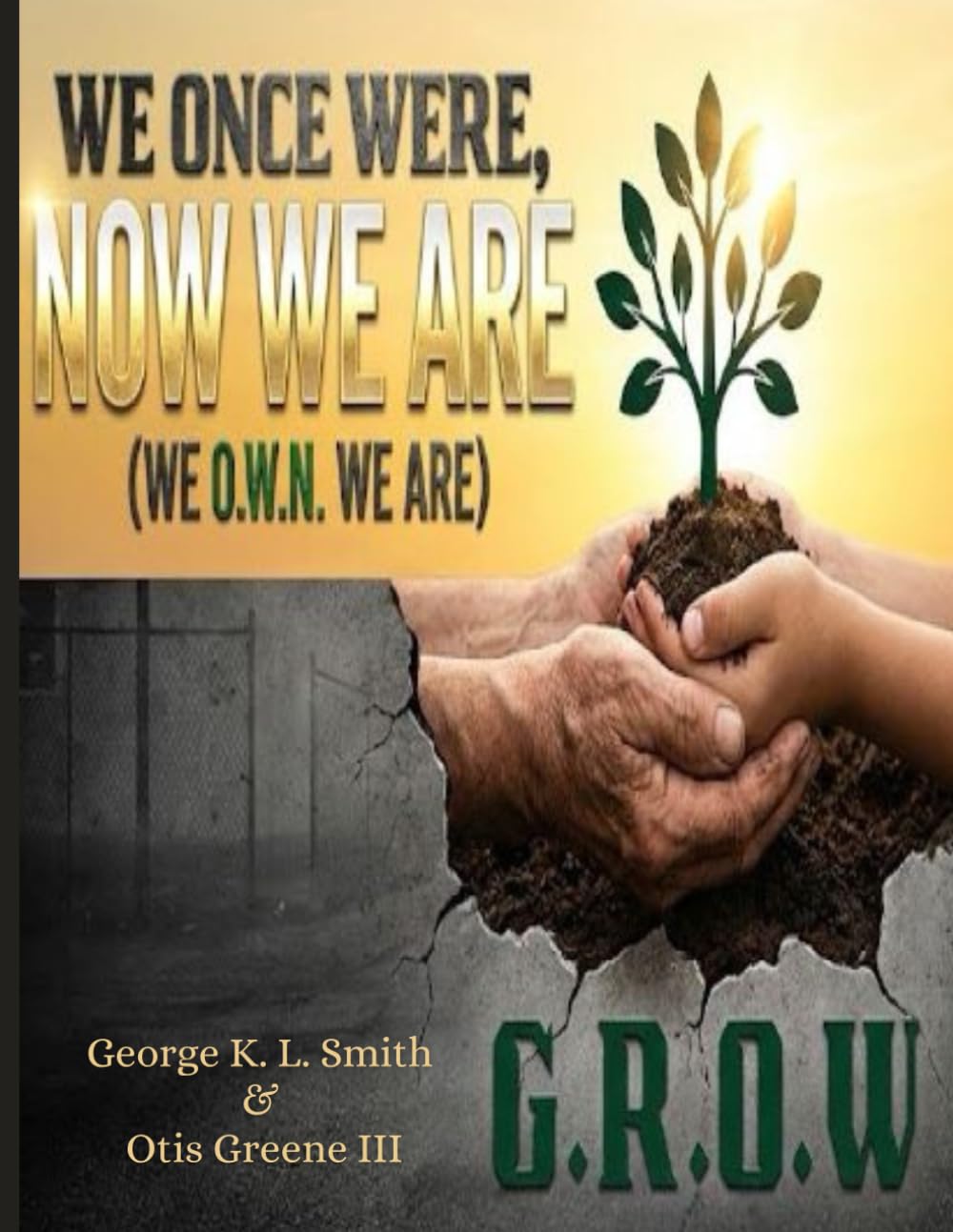 We Once Were Now We Are: WE O.W.N. WE ARE