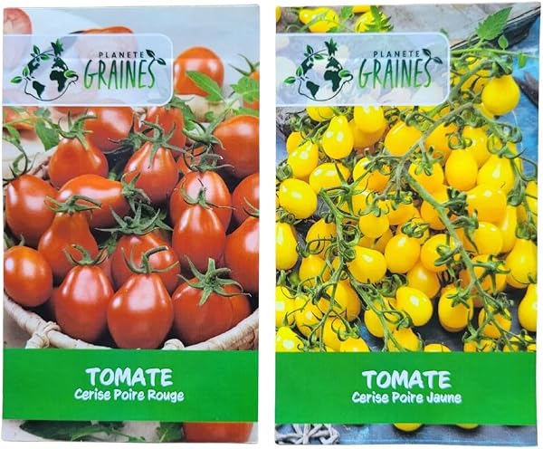Special set of red and yellow pear tomato seeds - duo of red fig and yellow pear varieties - productive vegetable seeds - cherry tomatoes - 1